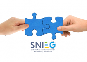 Sistema Nacional de Información Estadística y Geográfica (SNIEG)