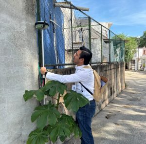 Servicios ofertados por la Dirección de Catastro; rectificación de medidas y colindantes