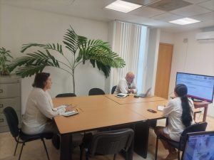 Reunión en línea con Catastro Municipales